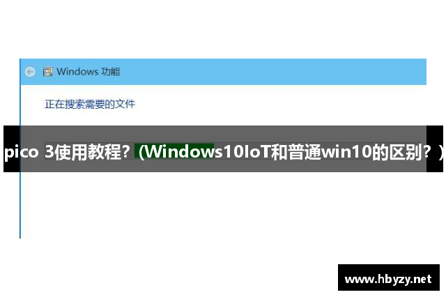 pico 3使用教程？(Windows10IoT和普通win10的区别？)